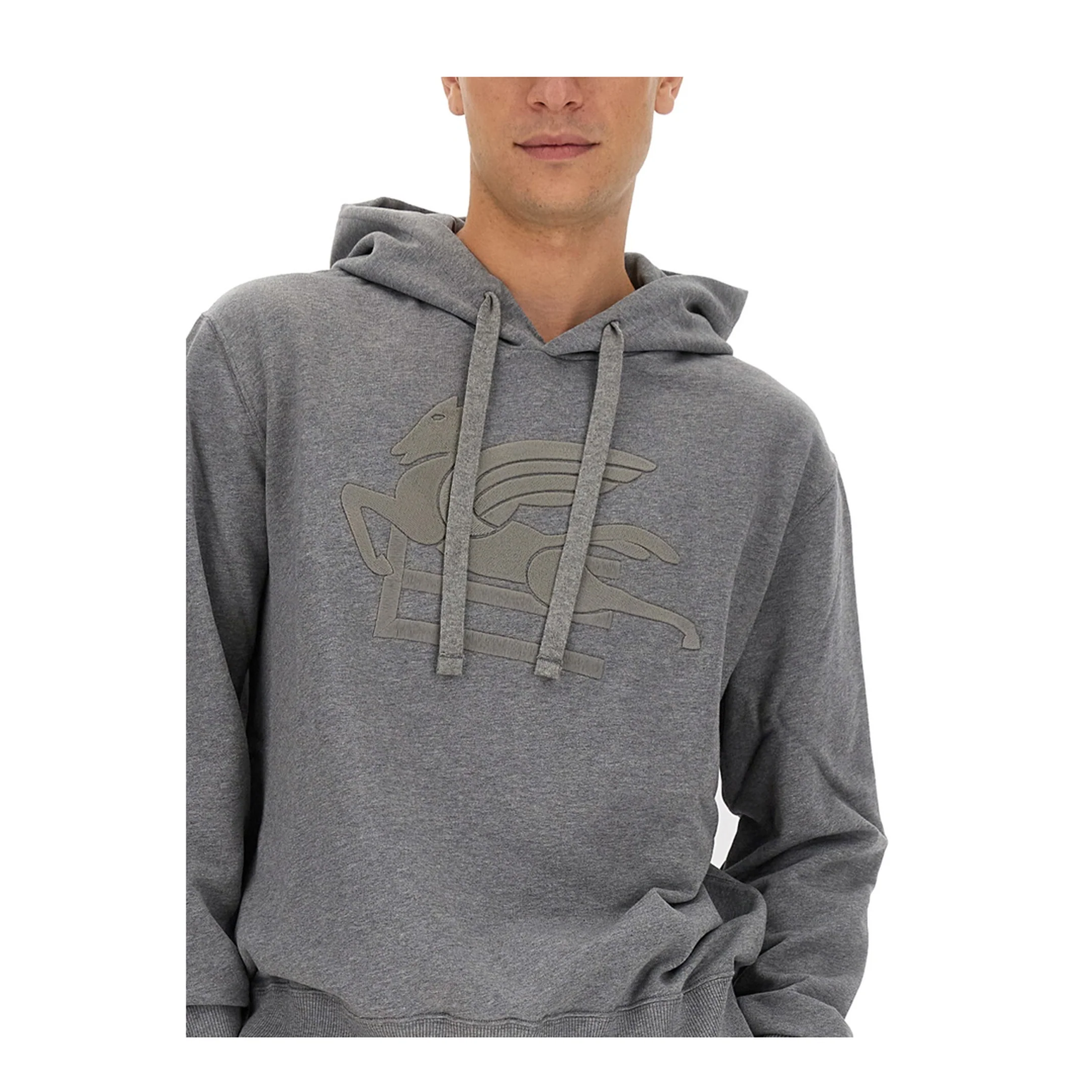 Pegasus Sweatshirt - Image 4