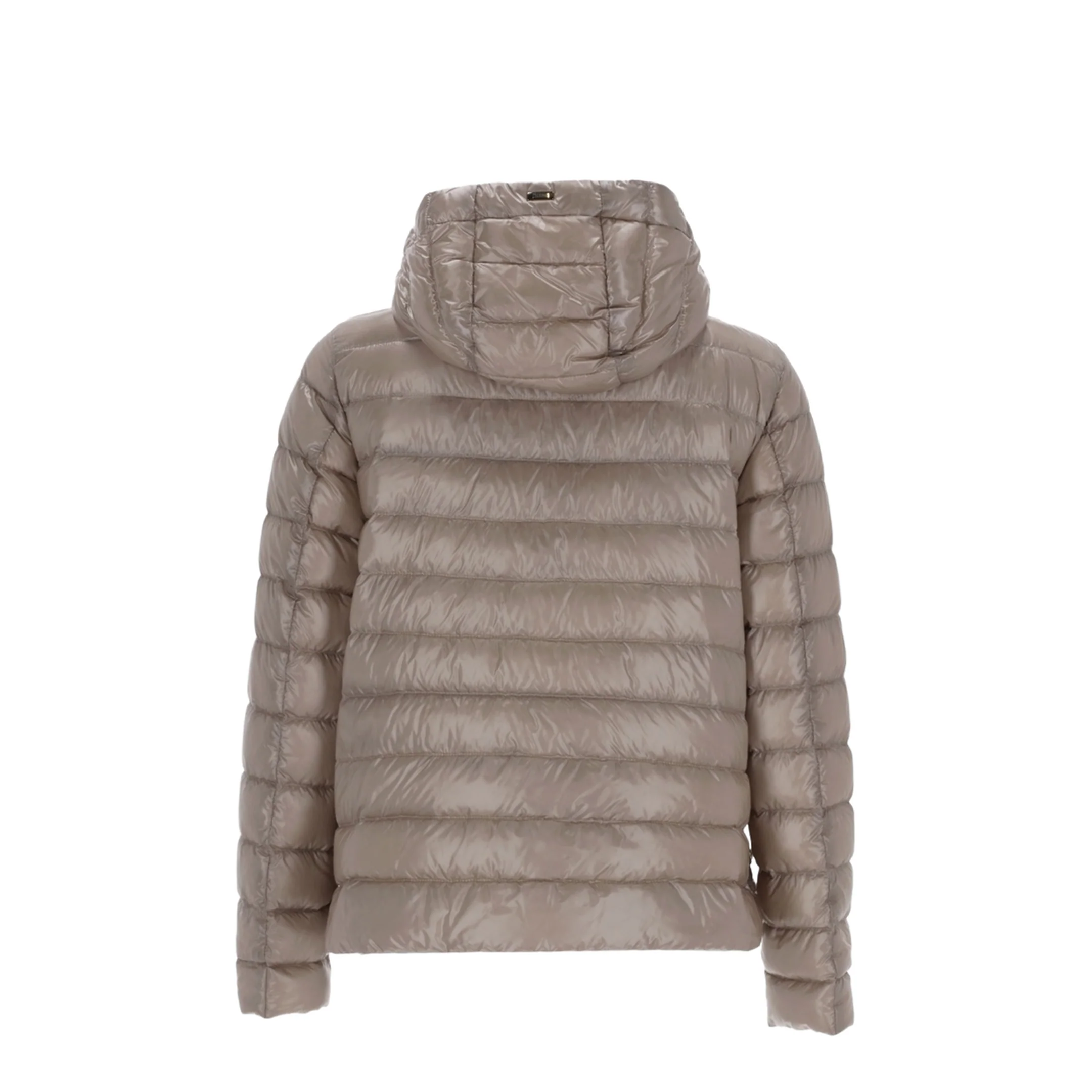 Down Jacket with Hood - Image 3
