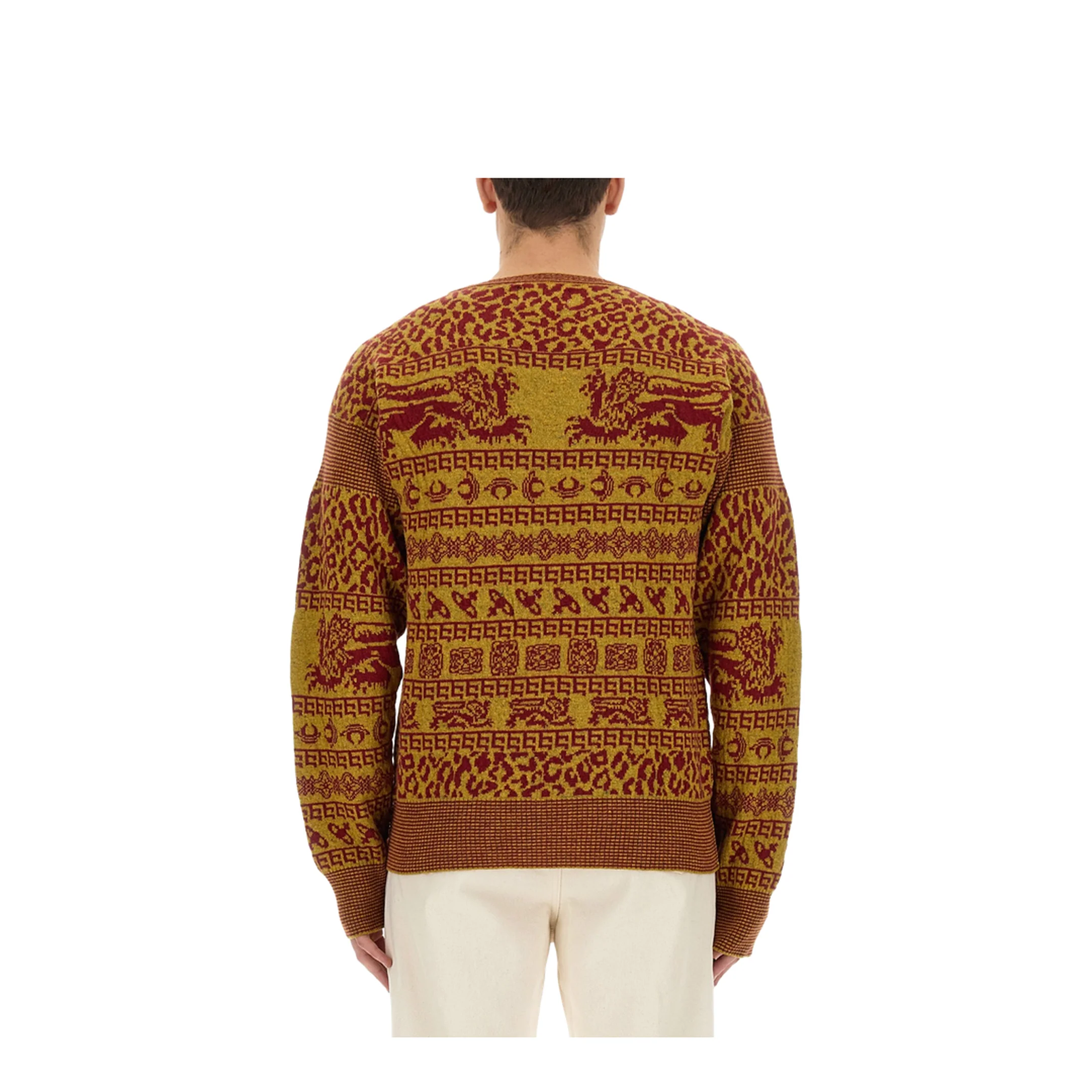 Lion Shirt - Image 2