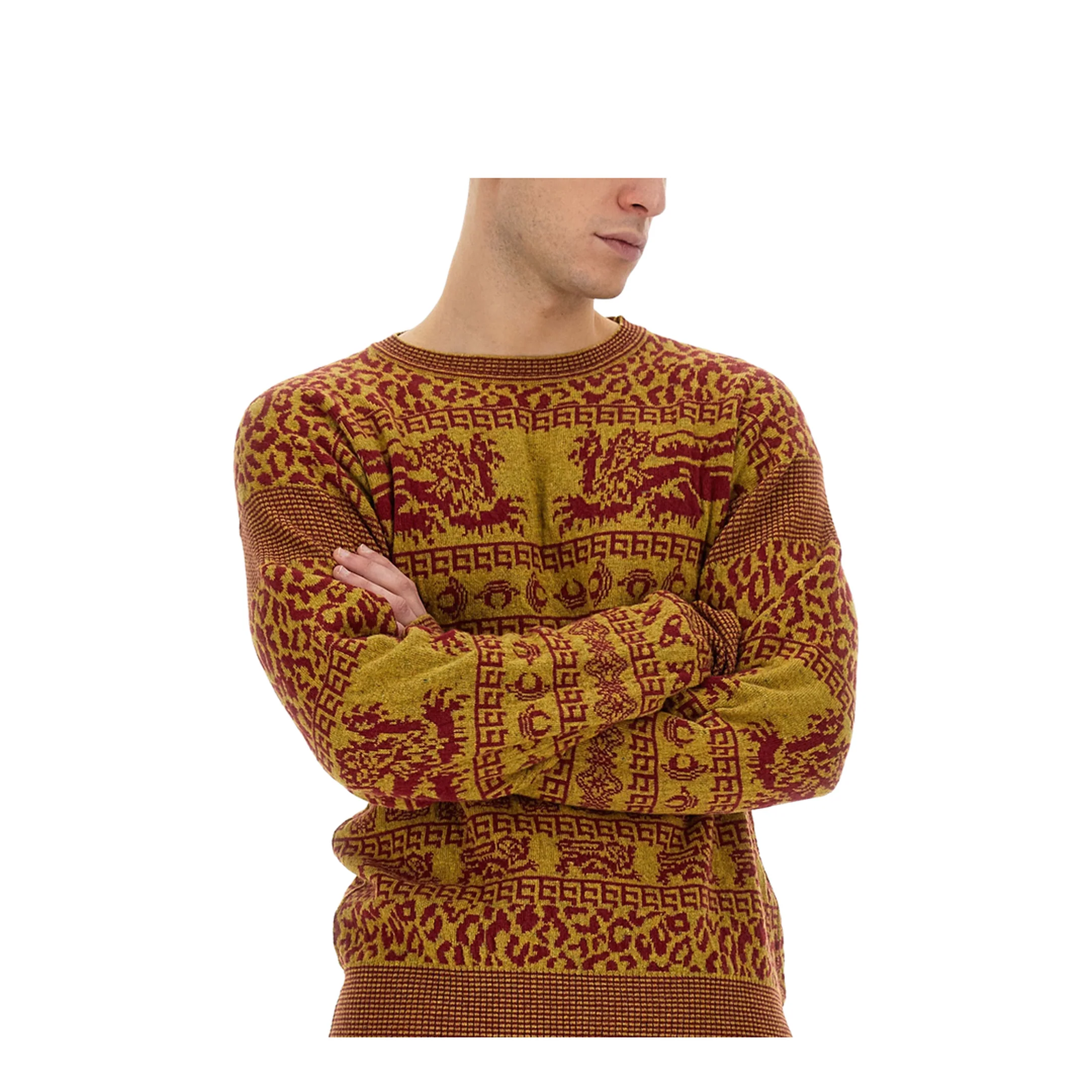 Lion Shirt - Image 3